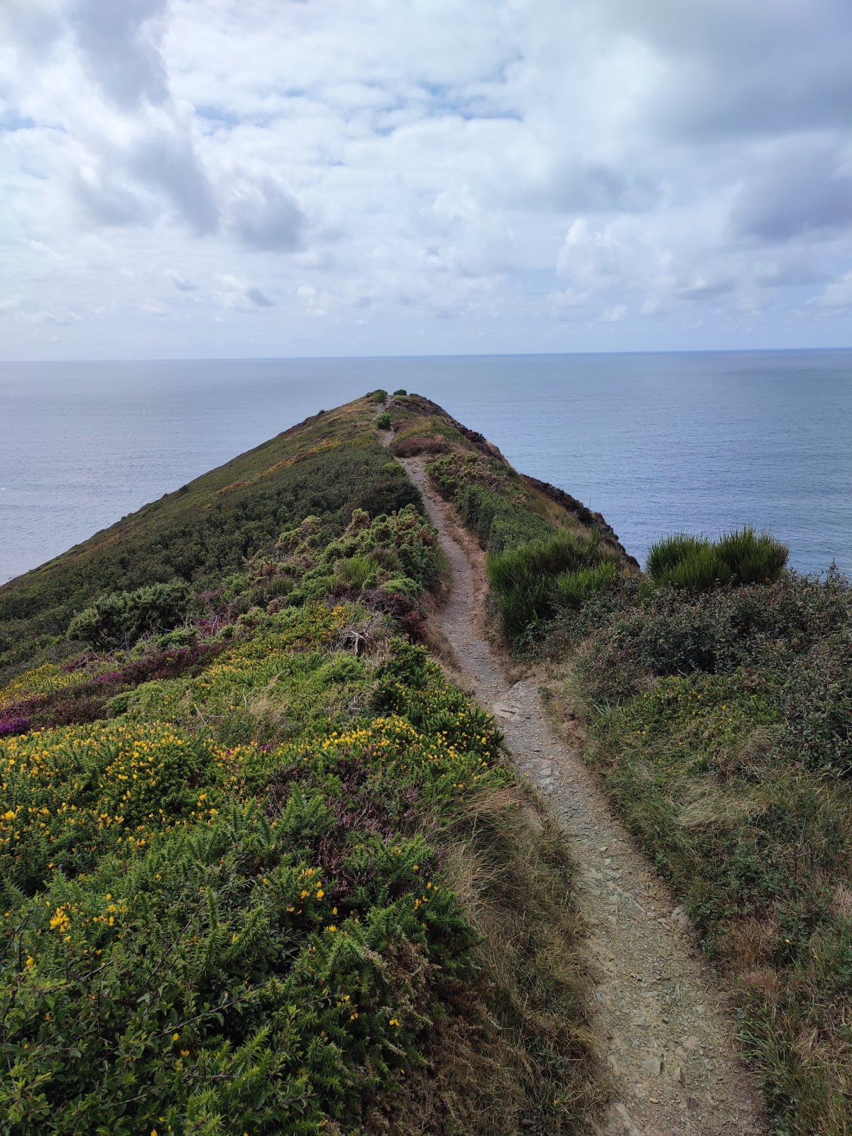 Cesta, co nikam nevede?