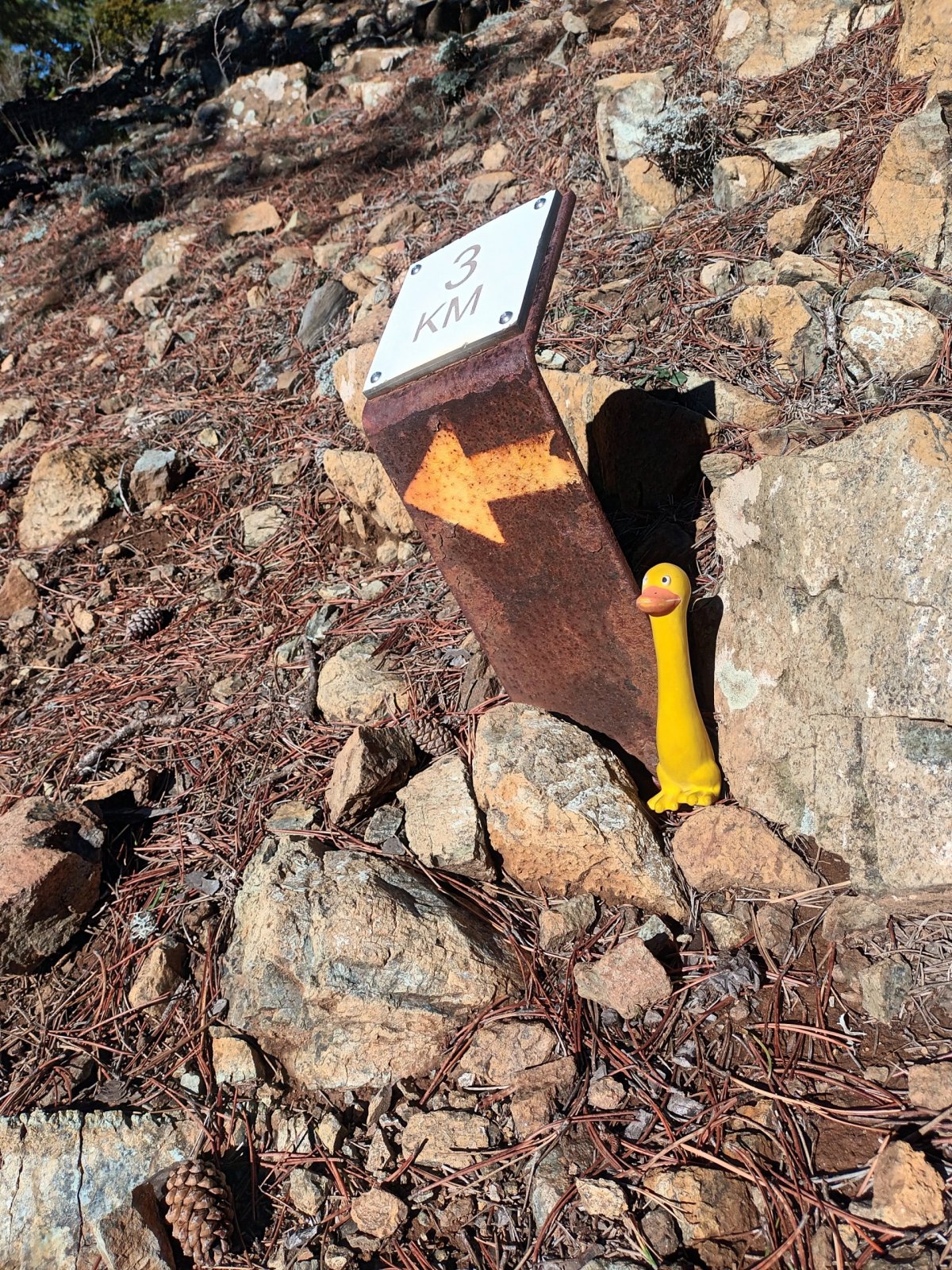 Značená trasa Artemis