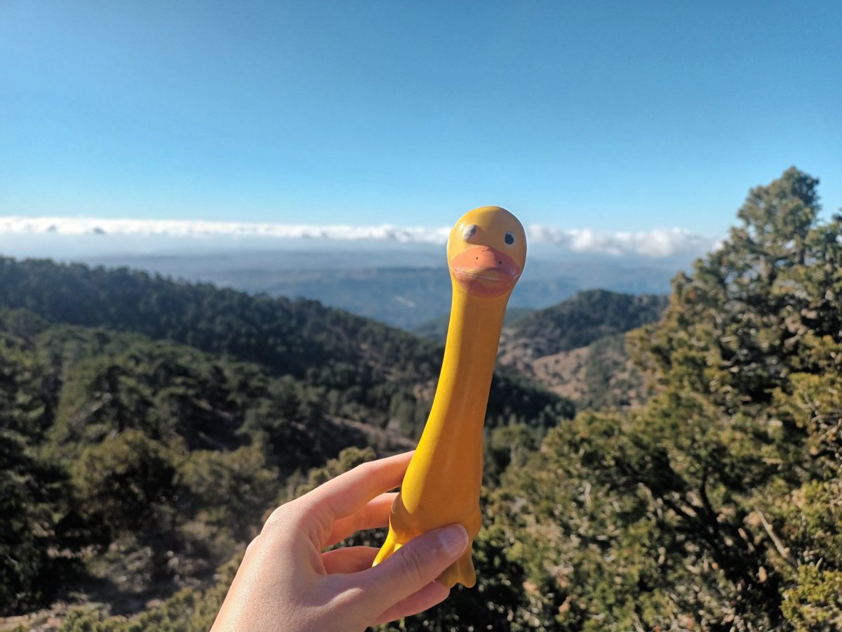 Výhledy kolem dokola