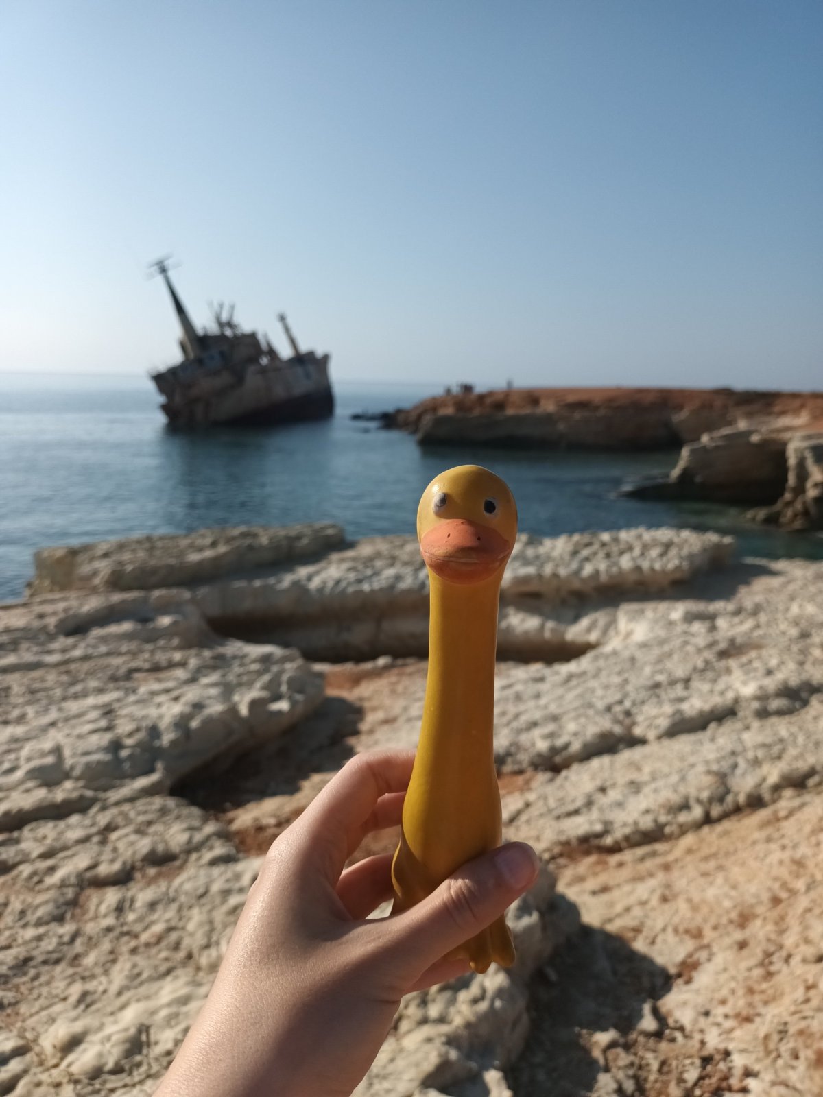 Vrak je uvízlý jen pár metrů od břehu