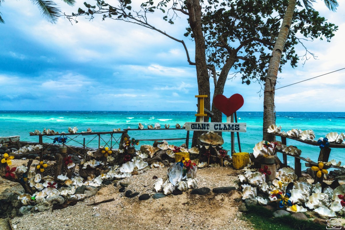 Giant Clams Sanctuary & White Beach
