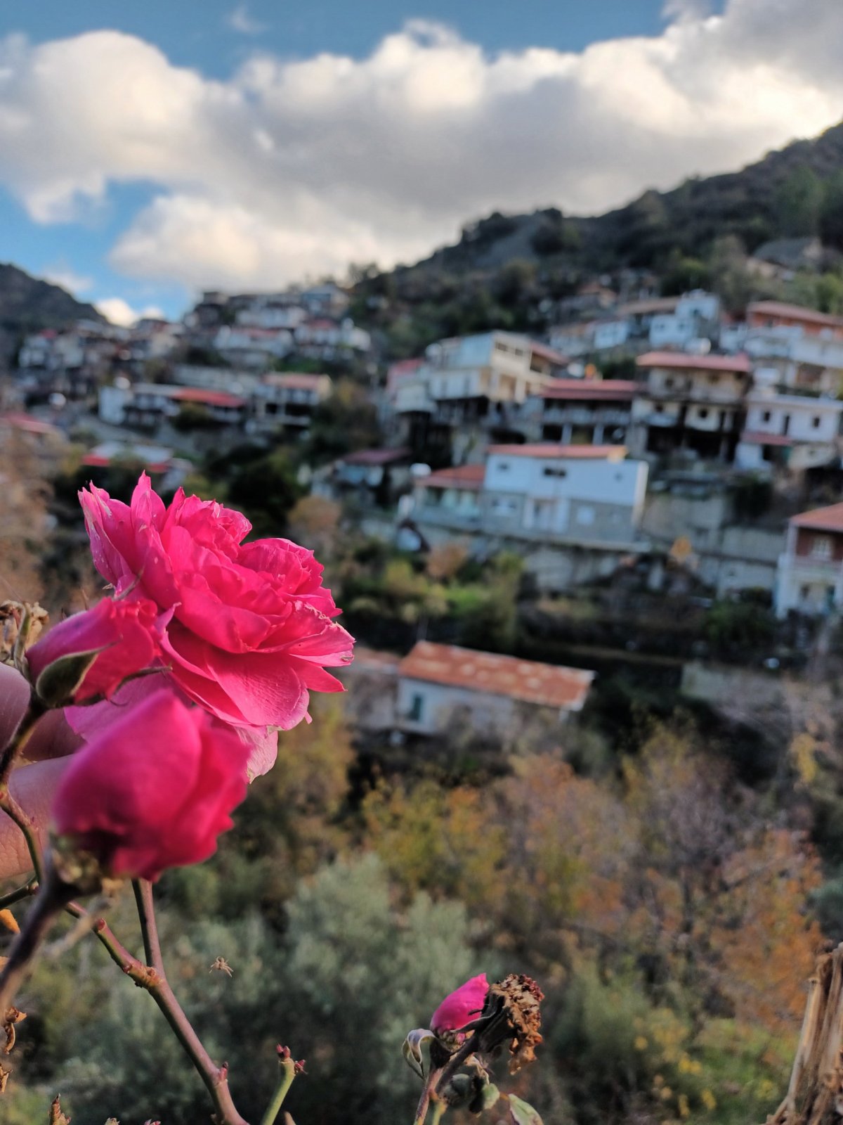 Vysokohorská stavení v pohoří Troodos