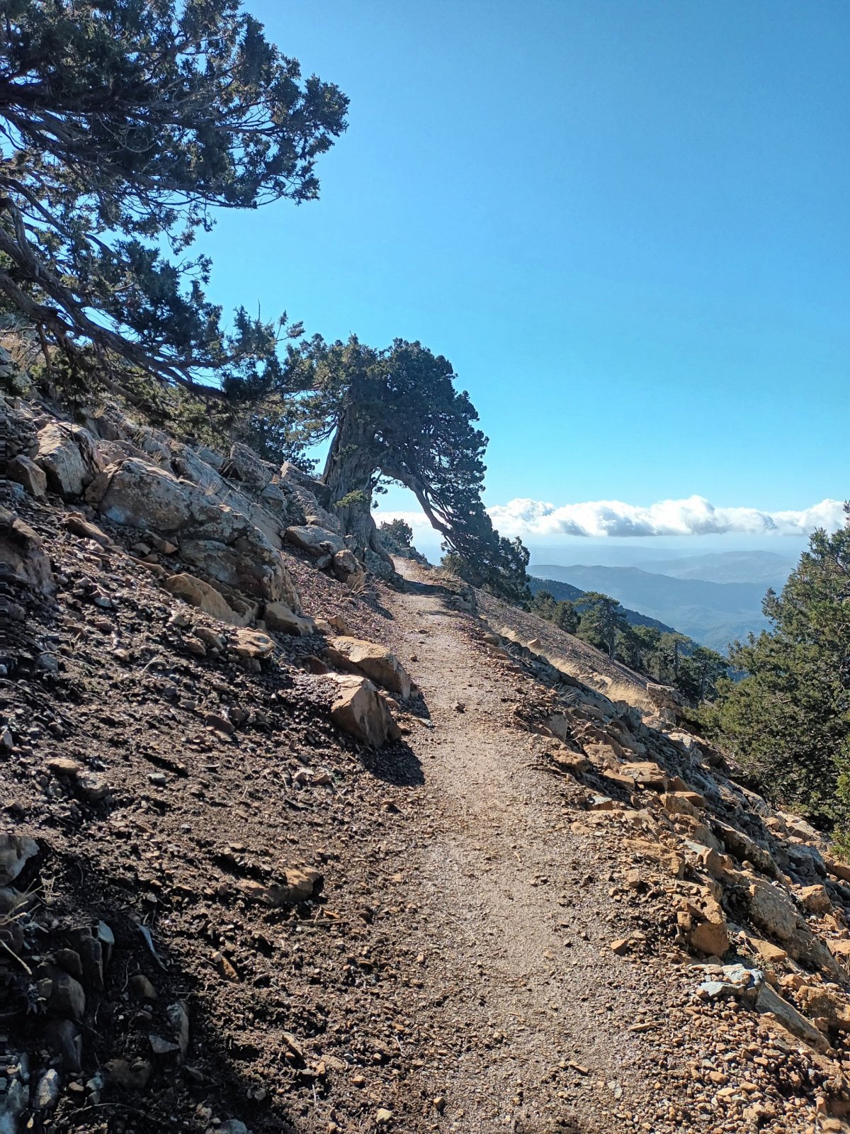 Počasí nám přeje!