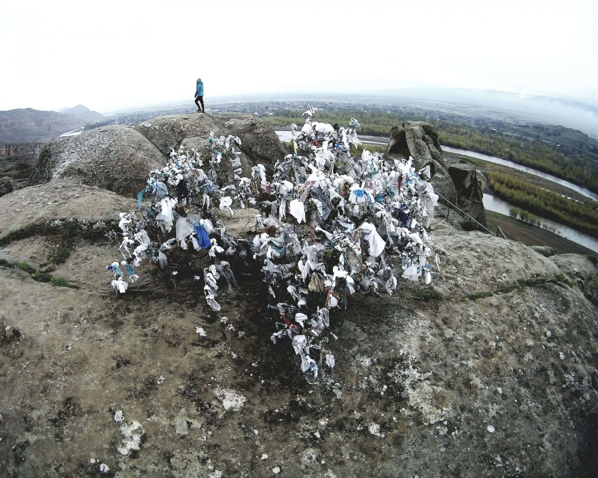 Máš kus šnuptychlu? Šup s ním na keř!