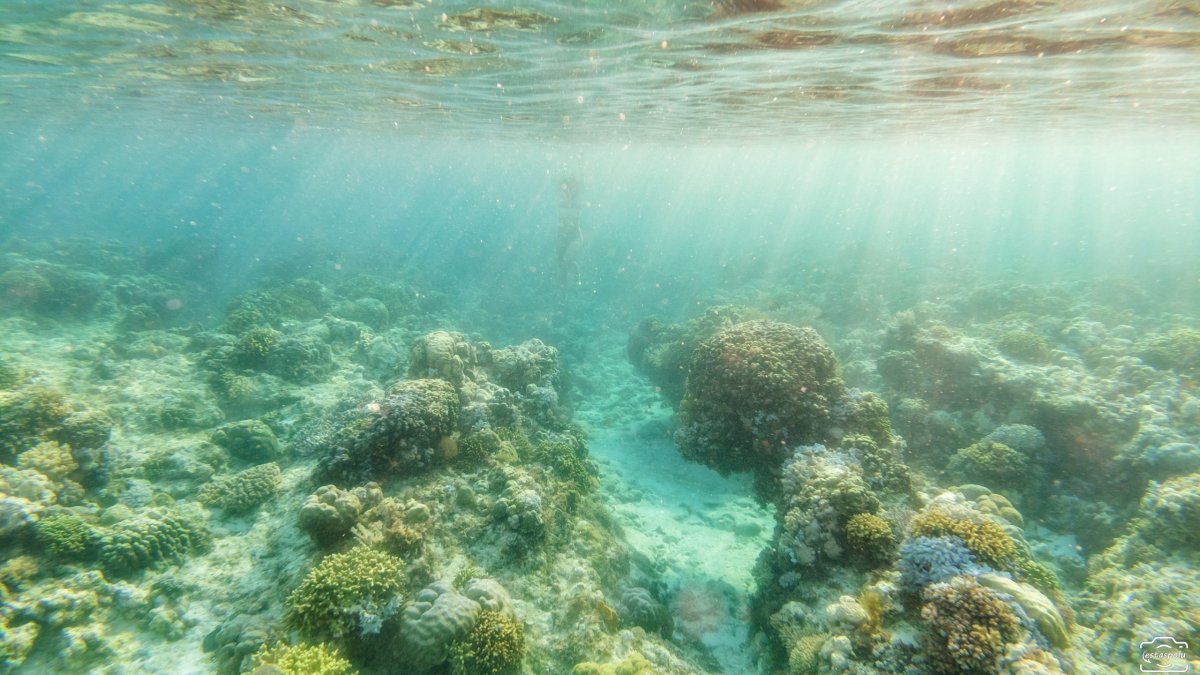 Tubod Marine Sanctuary