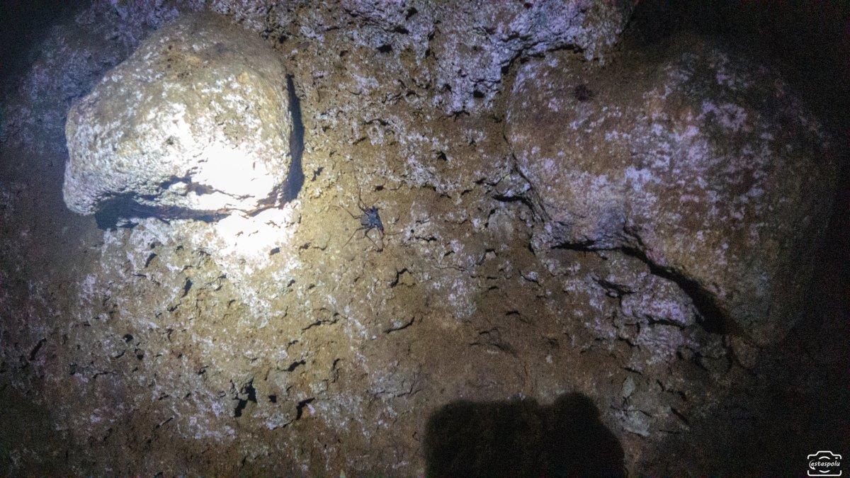 Sambulawan Underground River