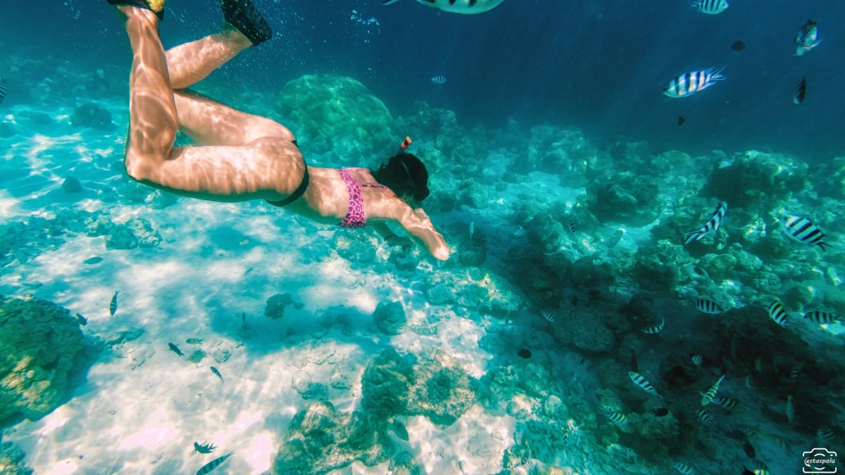 Sunken Japanese Wrecks - Coron