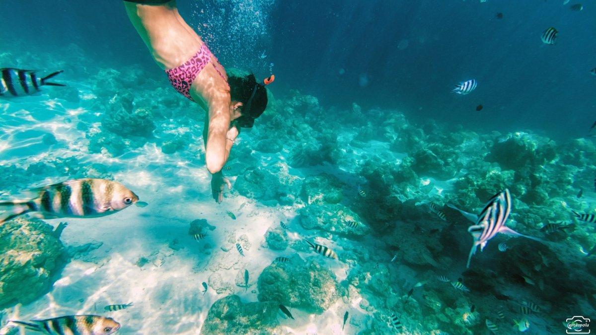 Sunken Japanese Wrecks - Coron