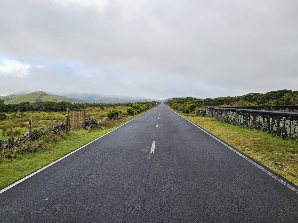 Estrada Longitudinal