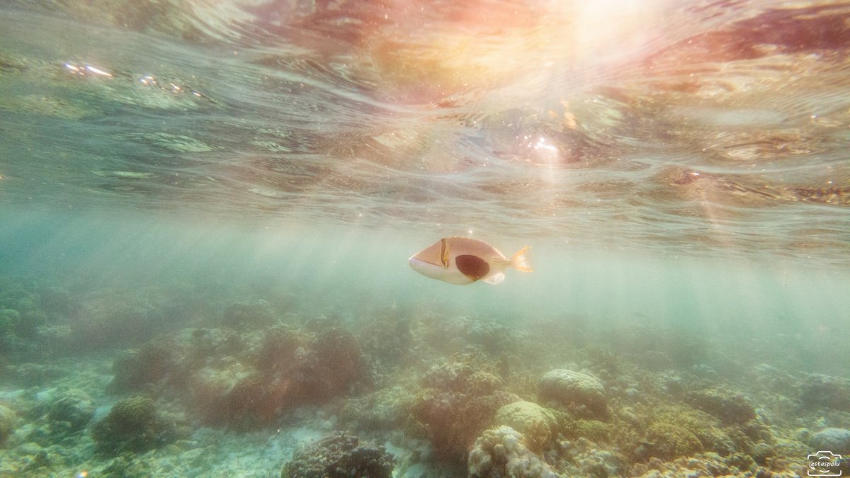 Tubod Marine Sanctuary