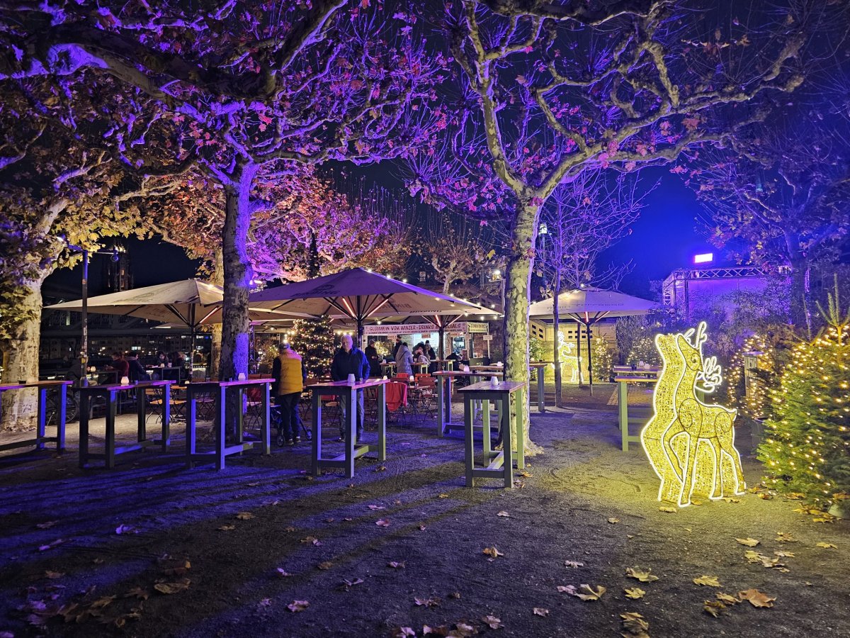 Sachsenhäuser Eisener Steg