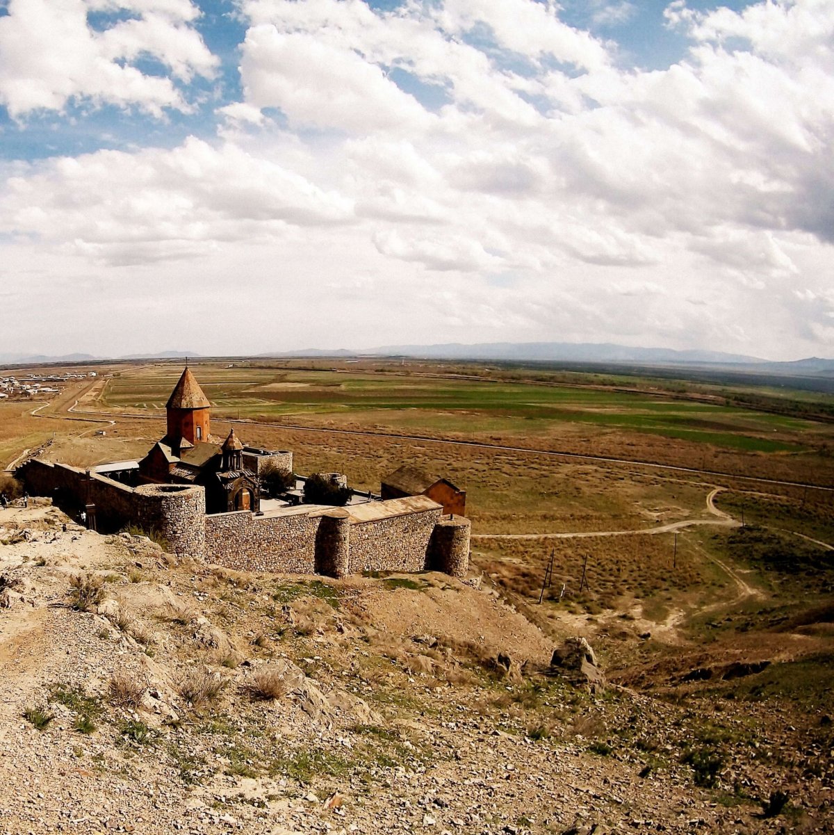 Kam letíte předražené holubičky?