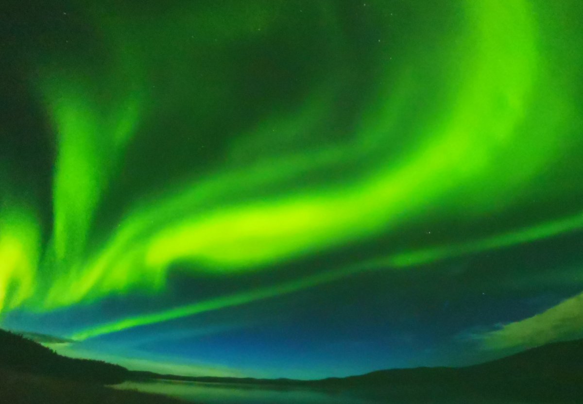 Projekce v muzeu Perlan:-)