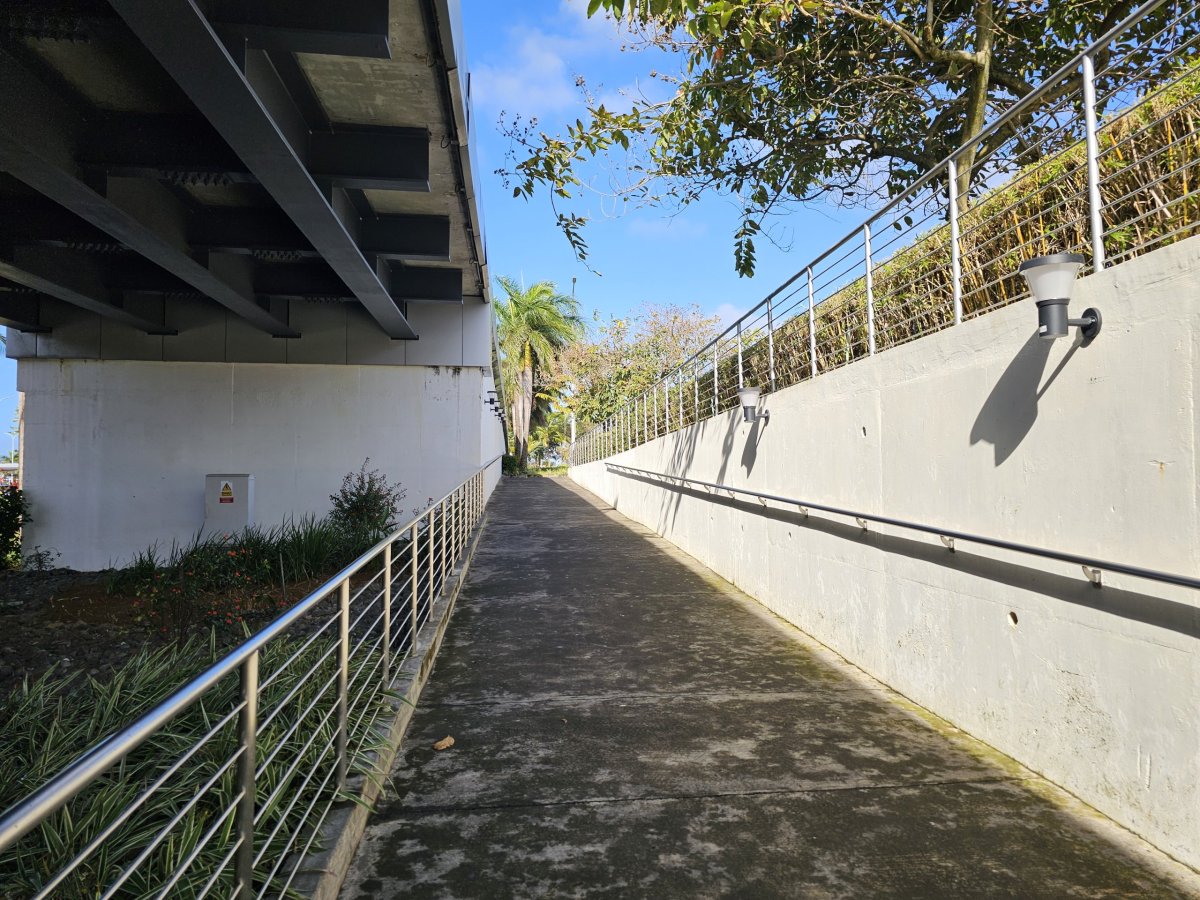 Cesta k autobusové zastávce