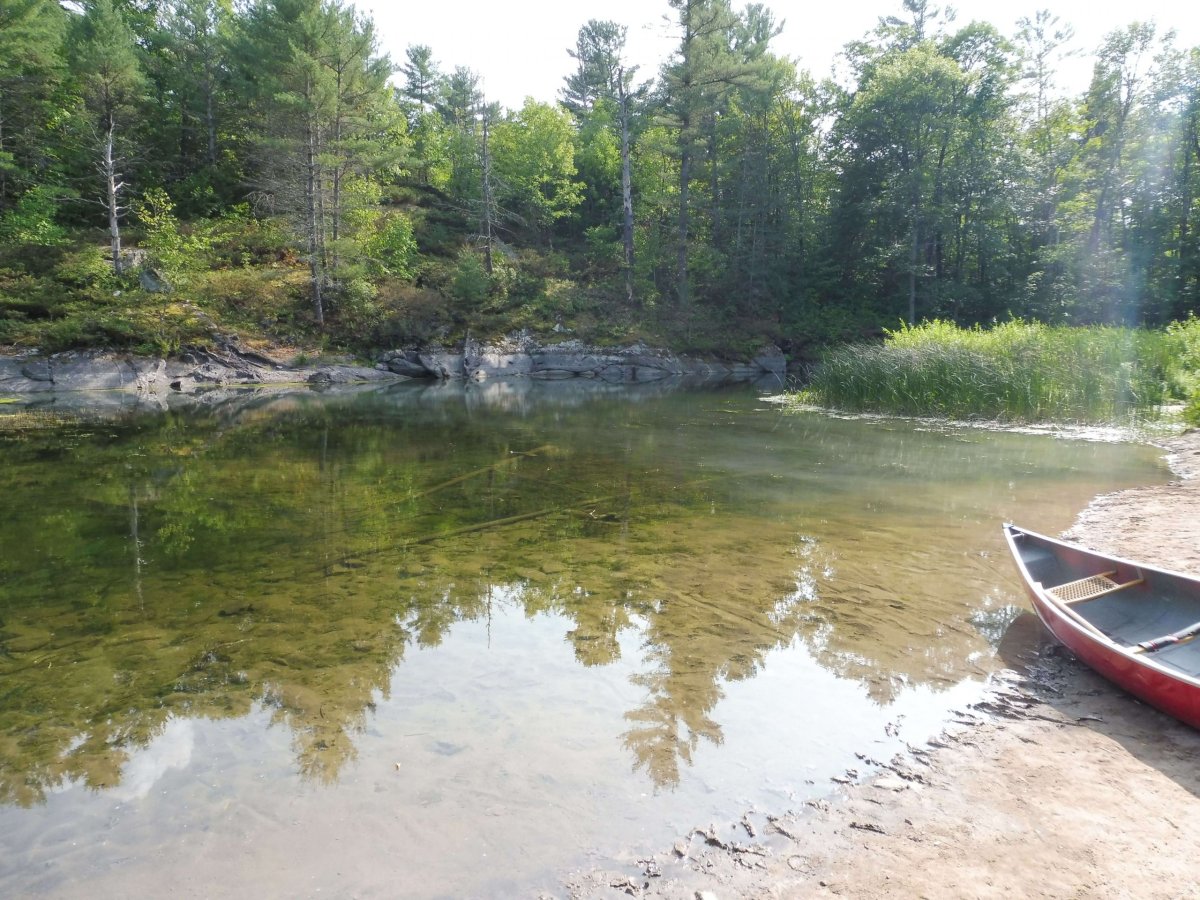 Cestou k jezeru McRae