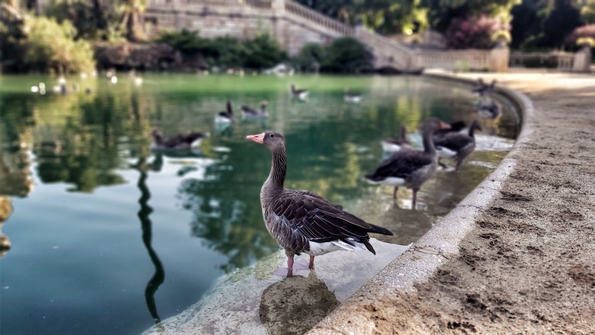 ...prostě za Kačku