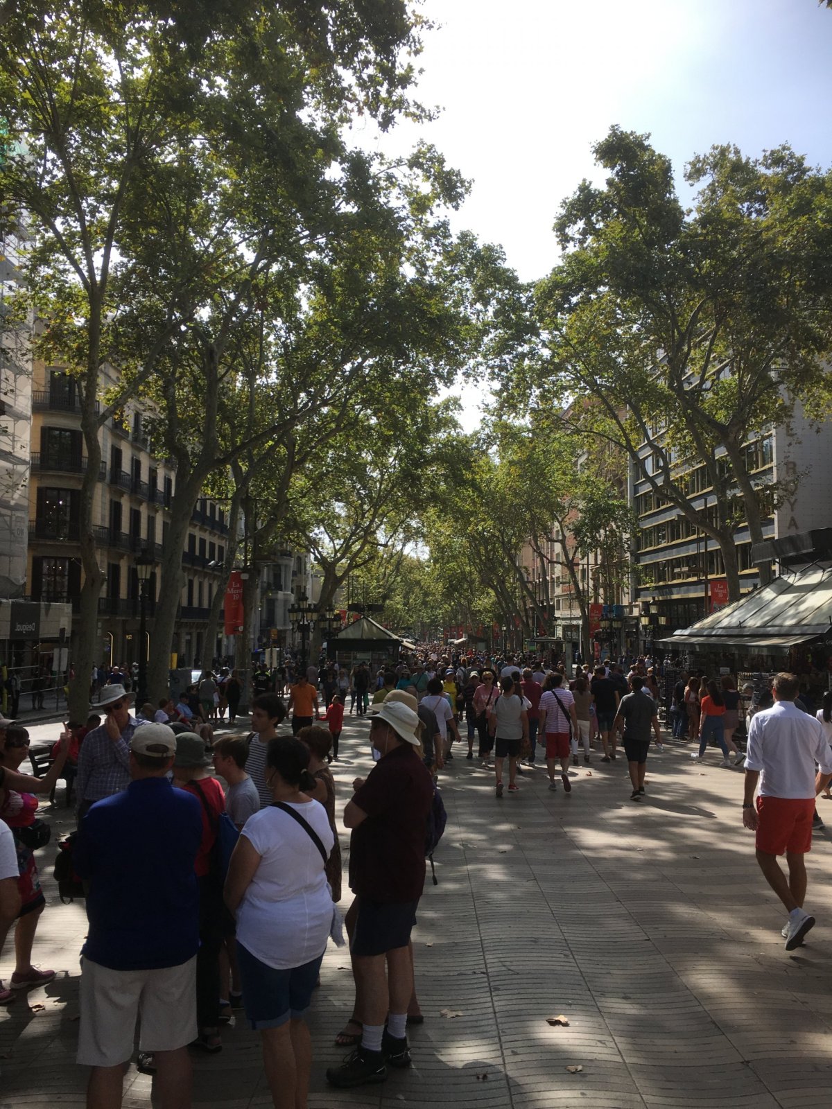 Bulvár La Rambla, směrem od Plaça de Catalunya