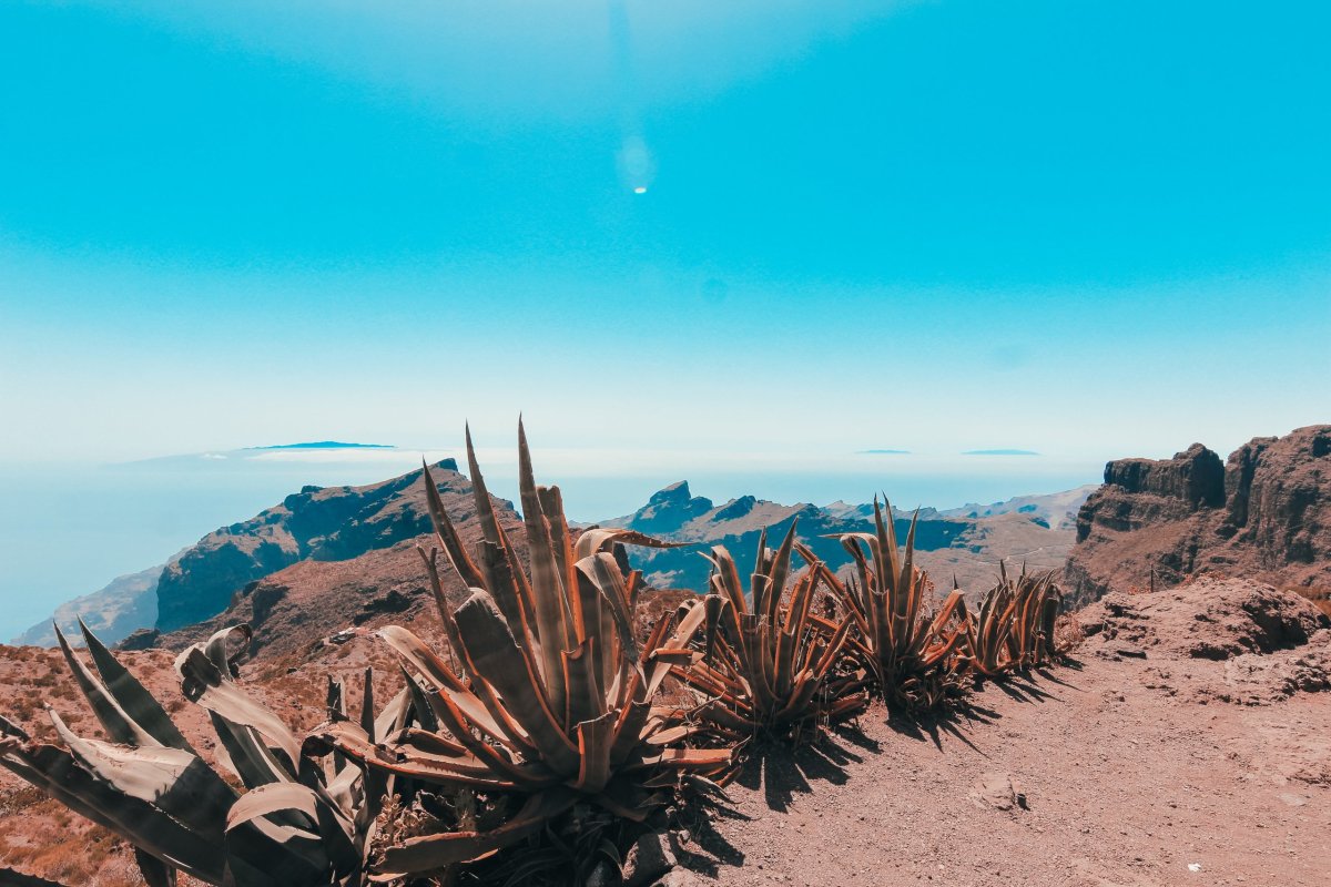 Tenerife výhled