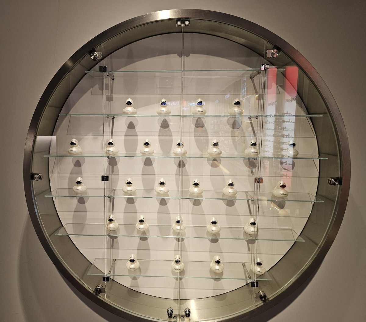 Vitrína se sběratelskými kachničkami