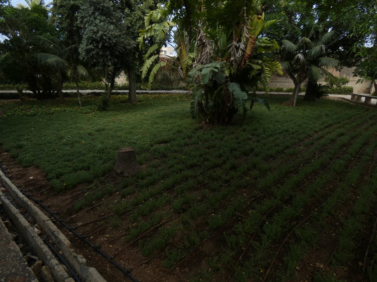 Veřejná zahrada prezidentského paláce je zelinářská