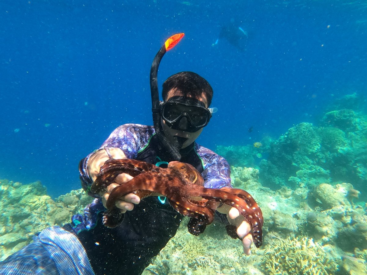 výlet na Jelení ostrov-chobotnice