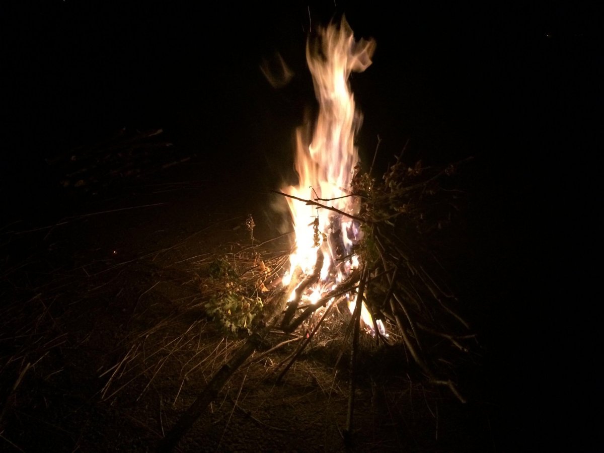 Mršina je nachystaná, můžeme opékat