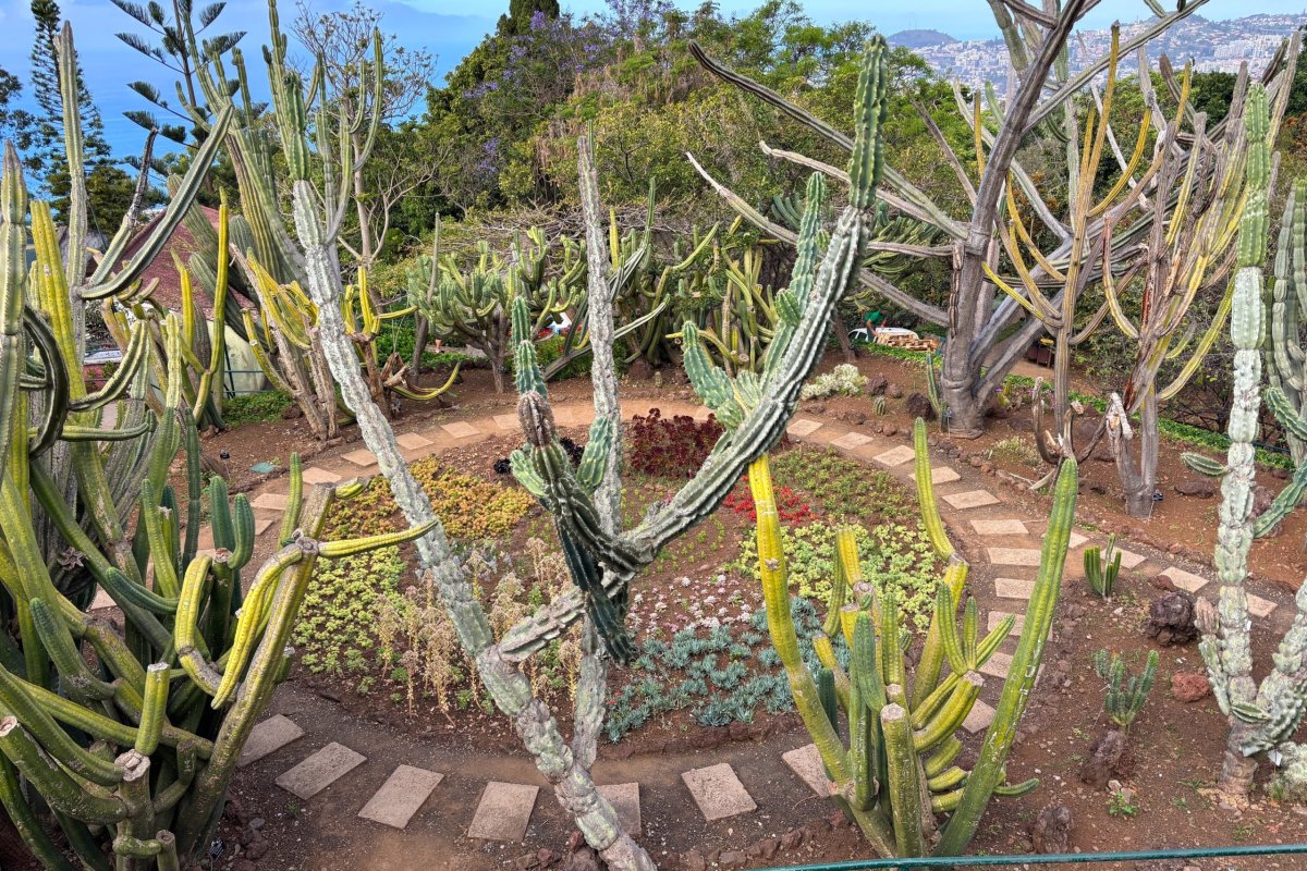 Funchal botanická zahrada