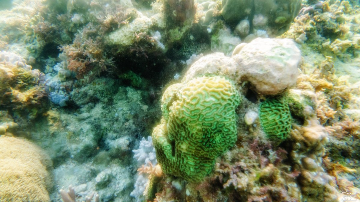 Tubod Marine Sanctuary