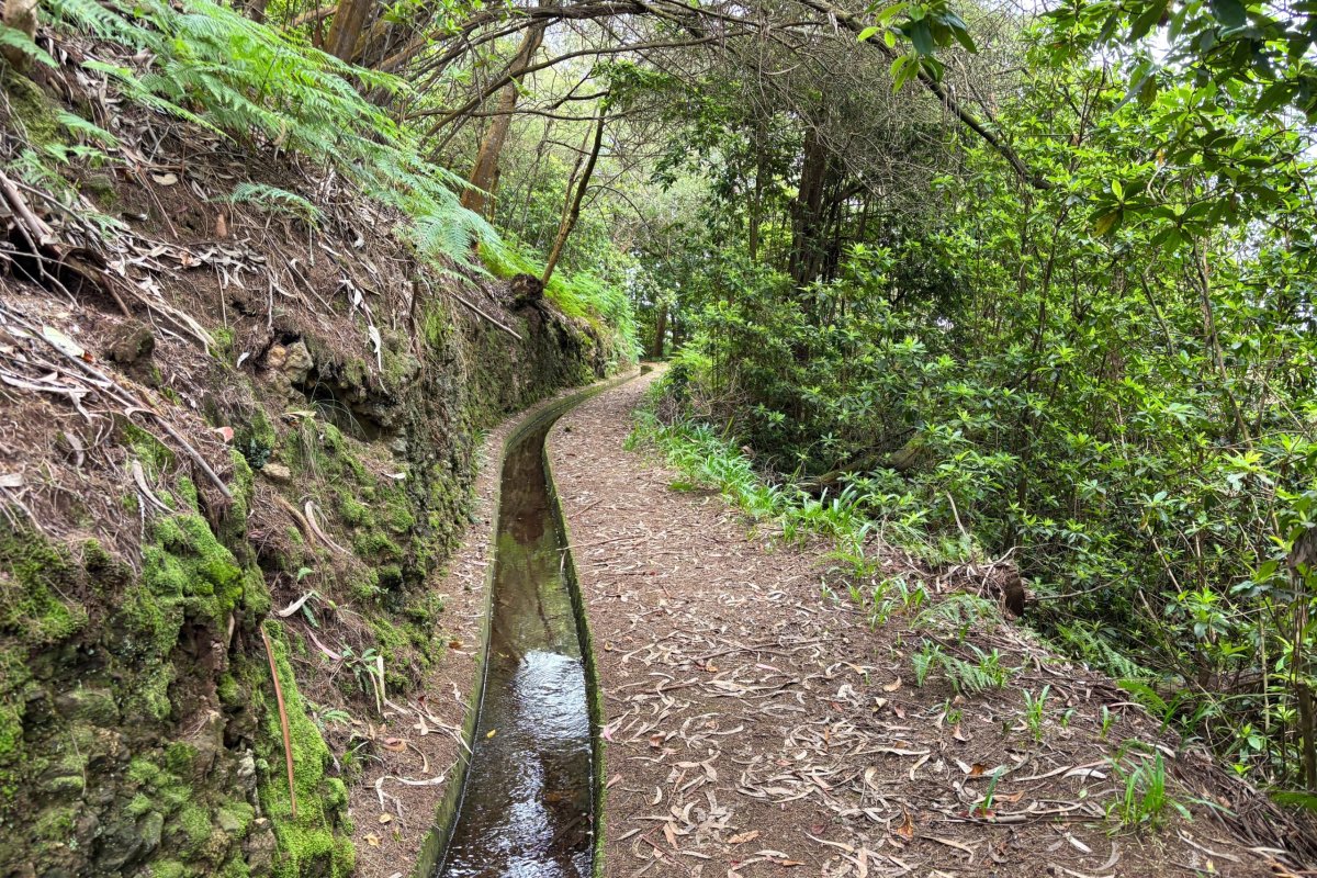 Levada da Silveira