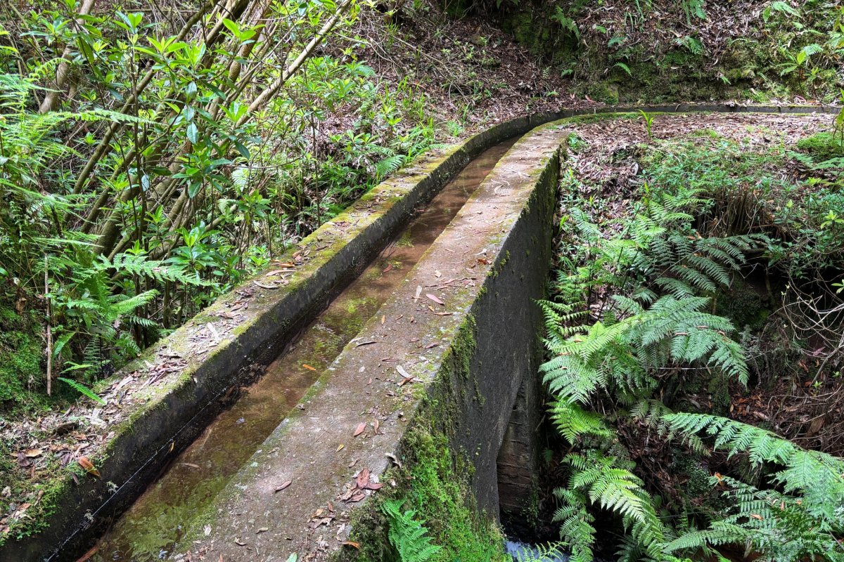 Levada da Silveira