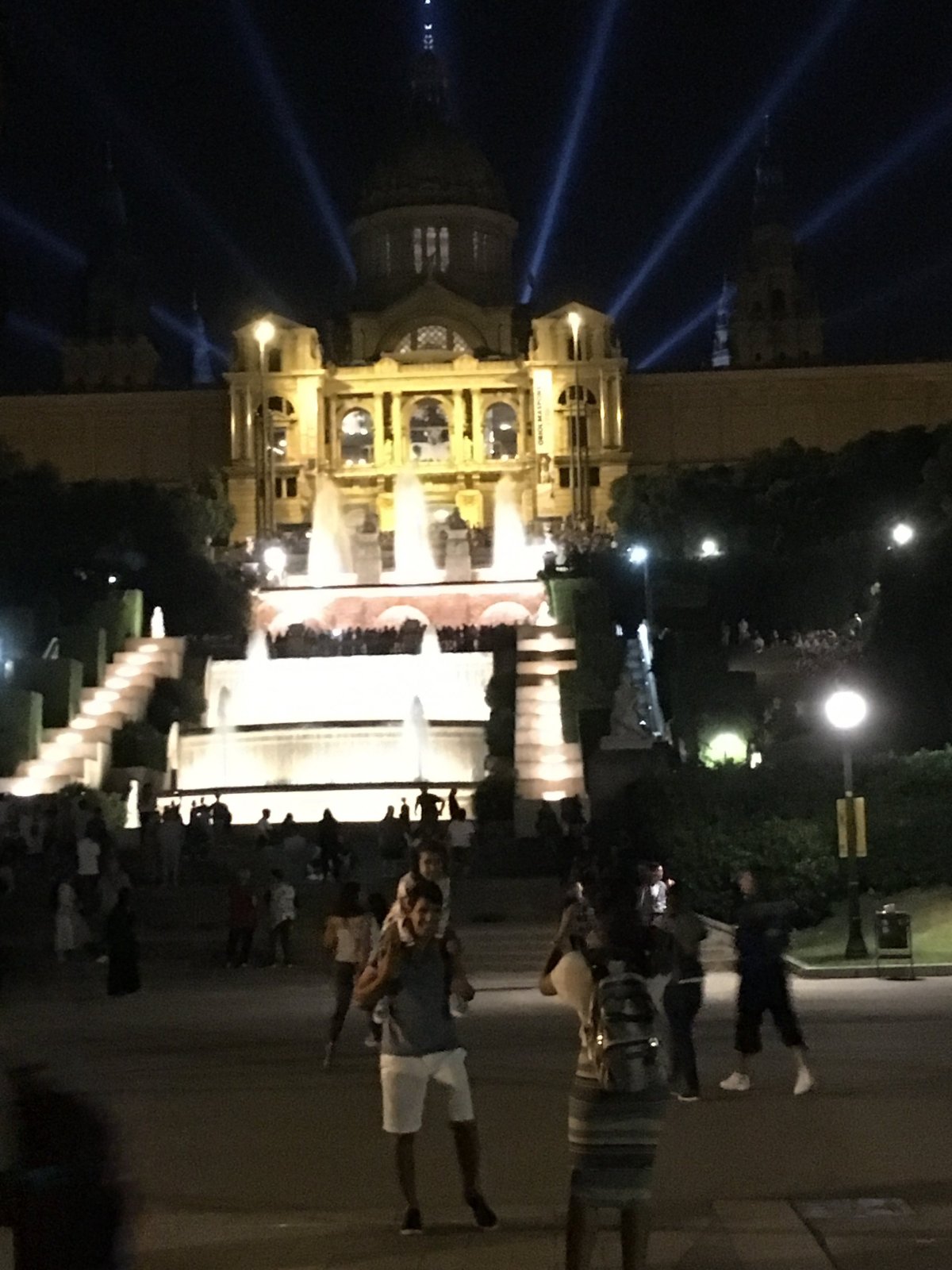 Museu National d'Art de Catalunya