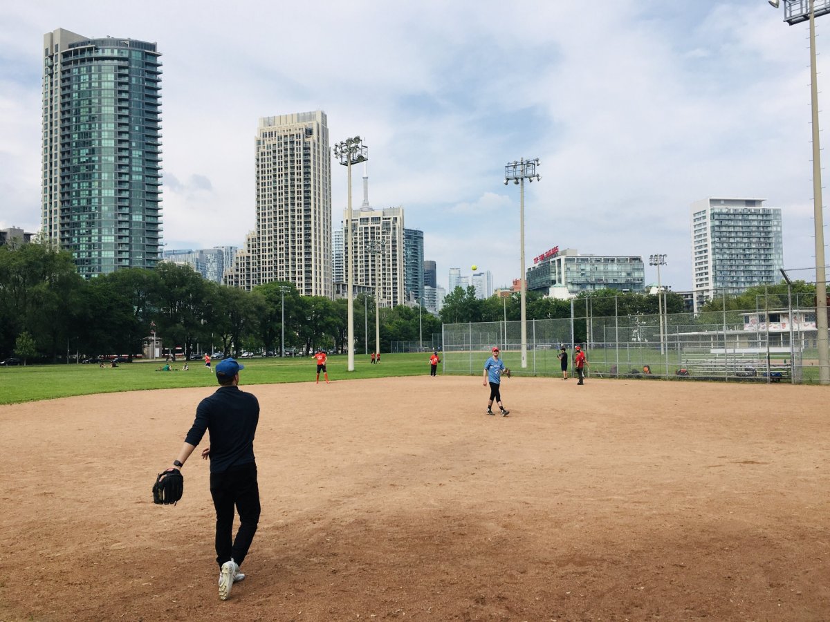 Toronto miluju baseball