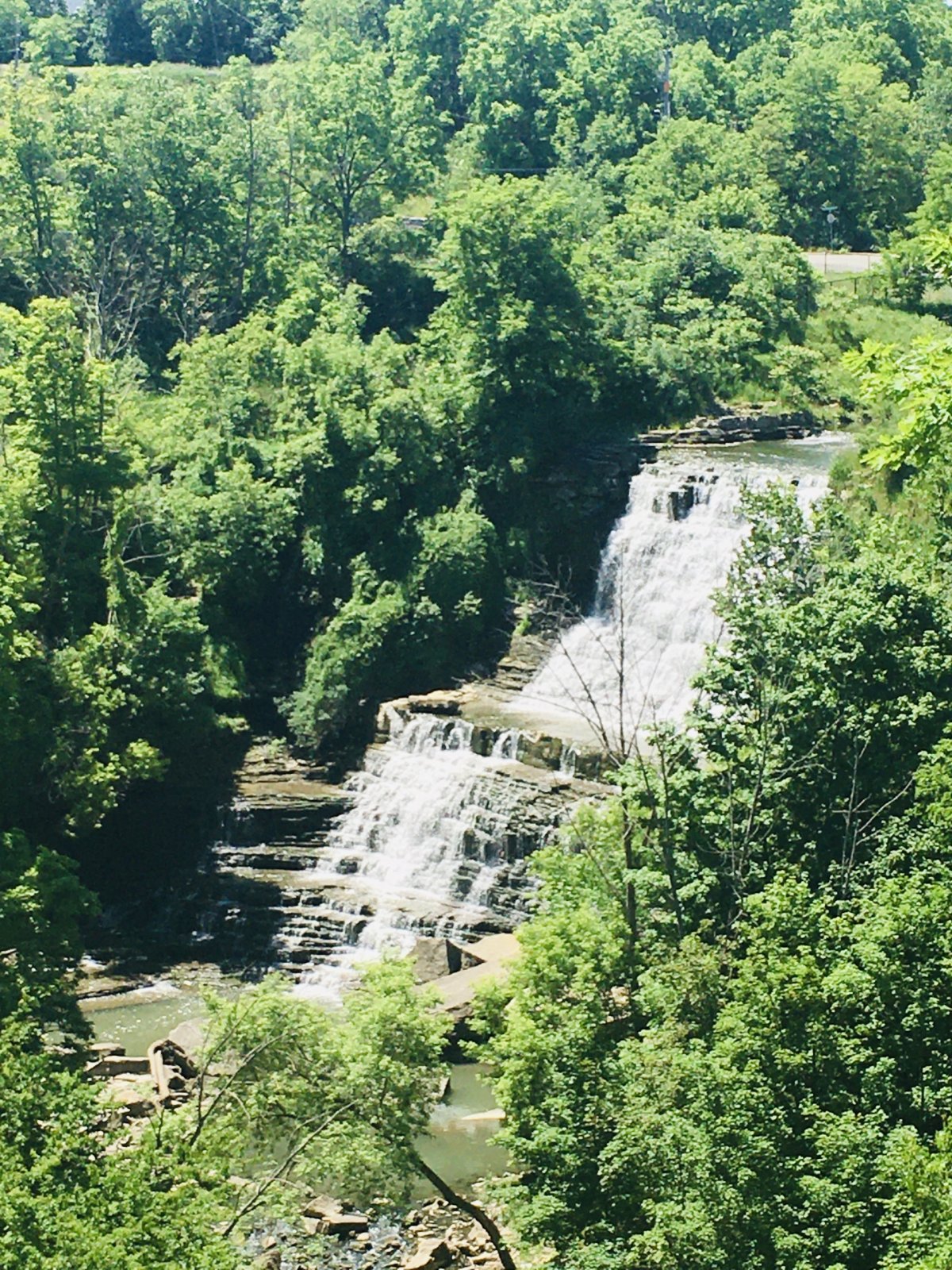 Albion Falls