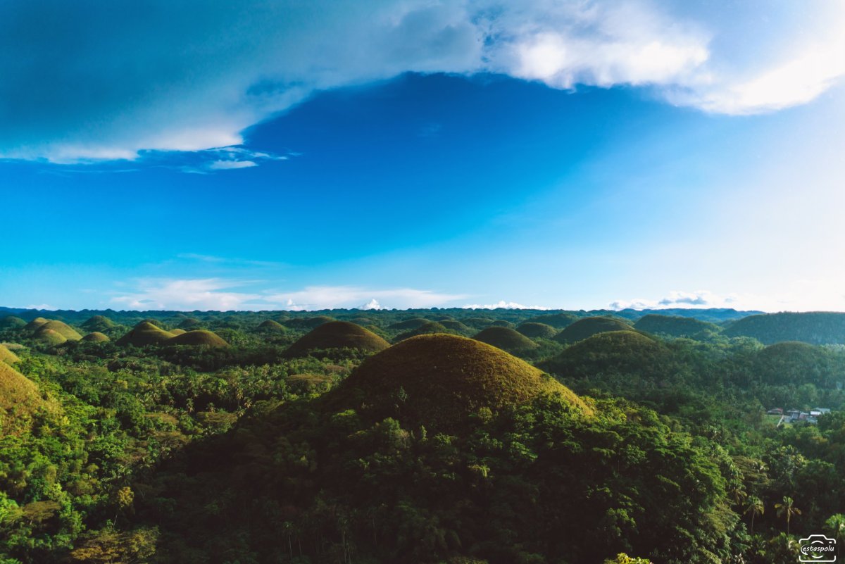 Chocolate hill- Bohol