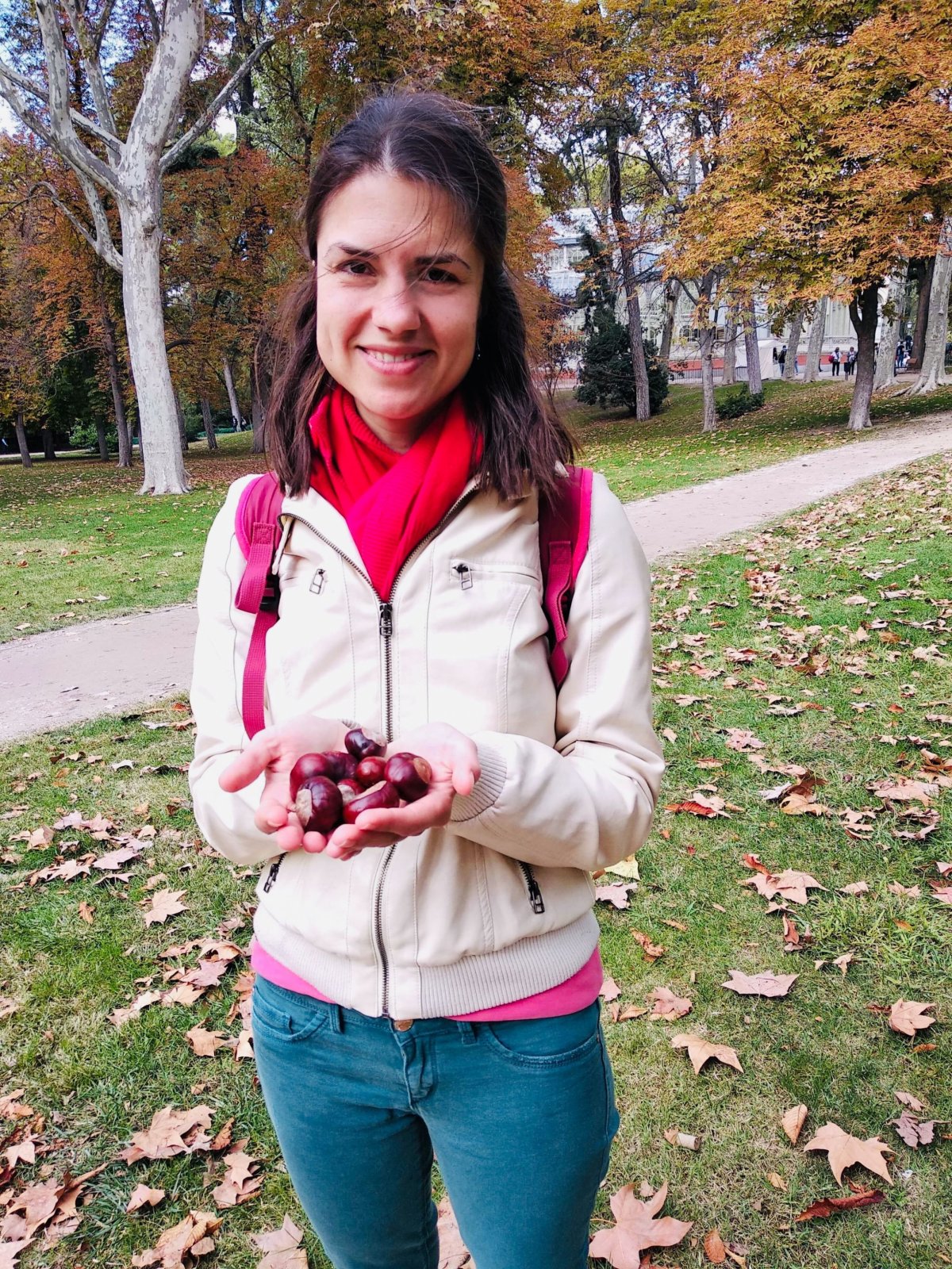 V parku boli všade samé gaštany