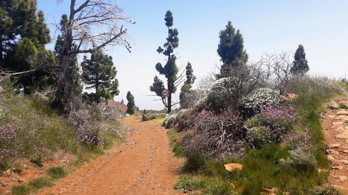 Na rychlost fakt pozor