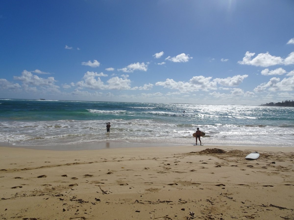 Na Oahu se totiž surfuje skoro všude