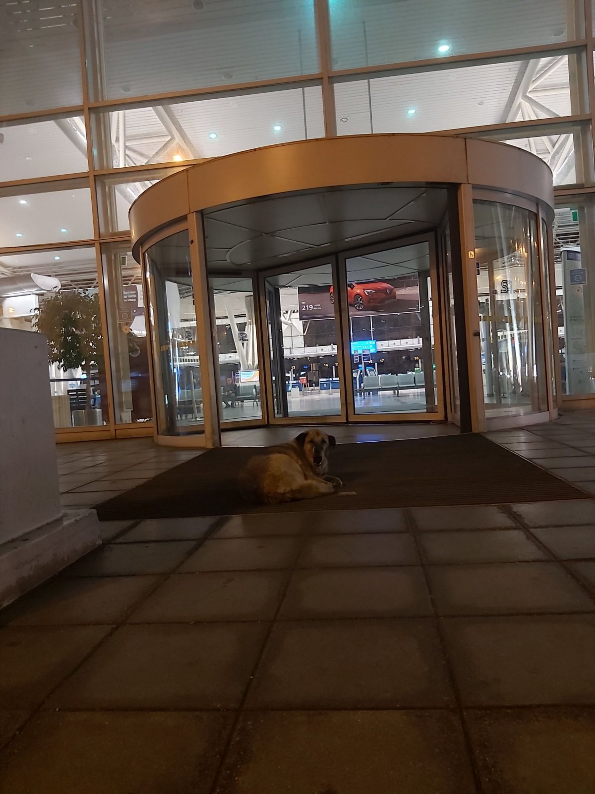 Letištní security ?