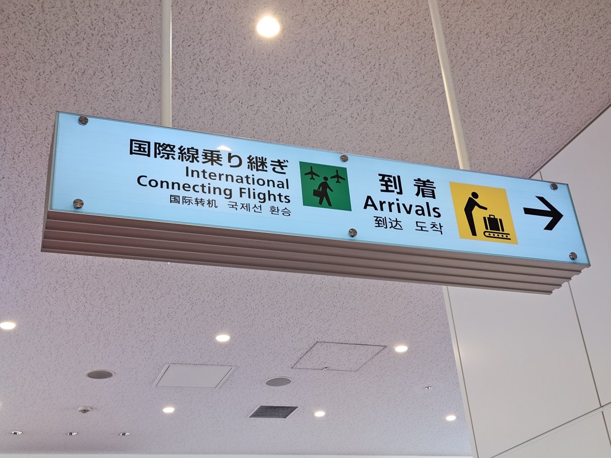 Mezinárodní přestupní lety