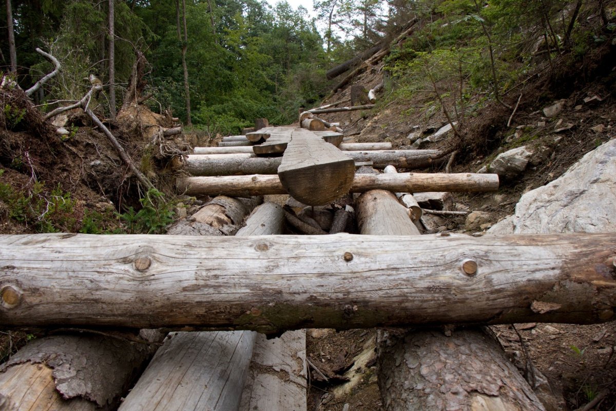 Improvizované stezky