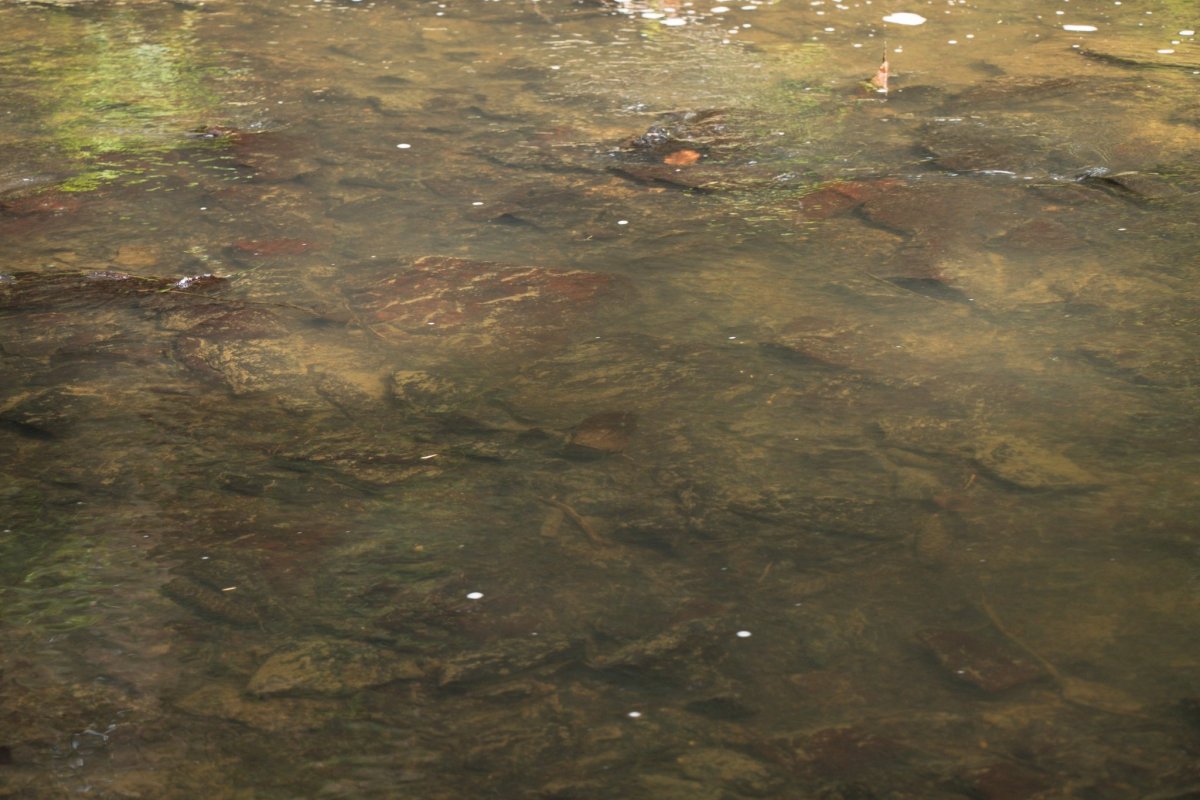 Voda je opravdu průzračná