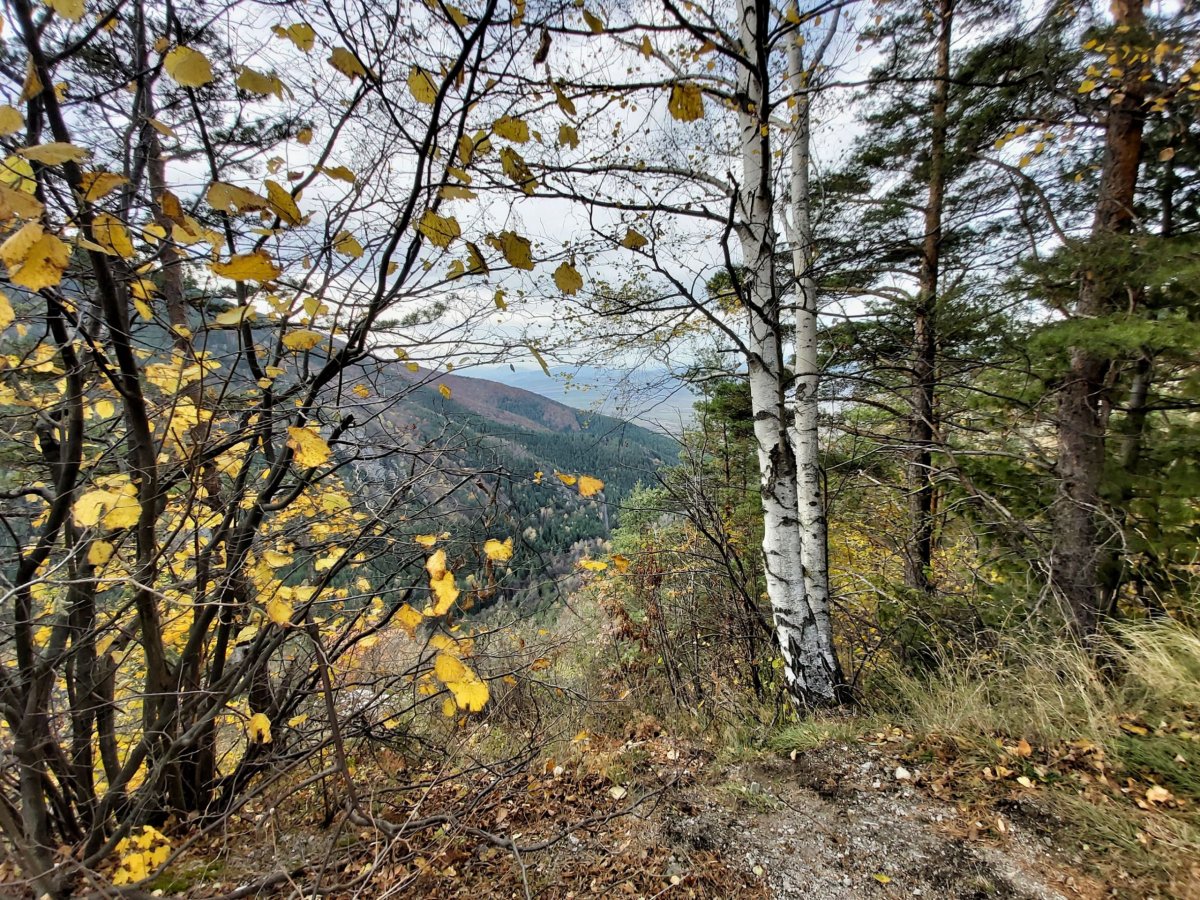 cesta k Pionerske chatě