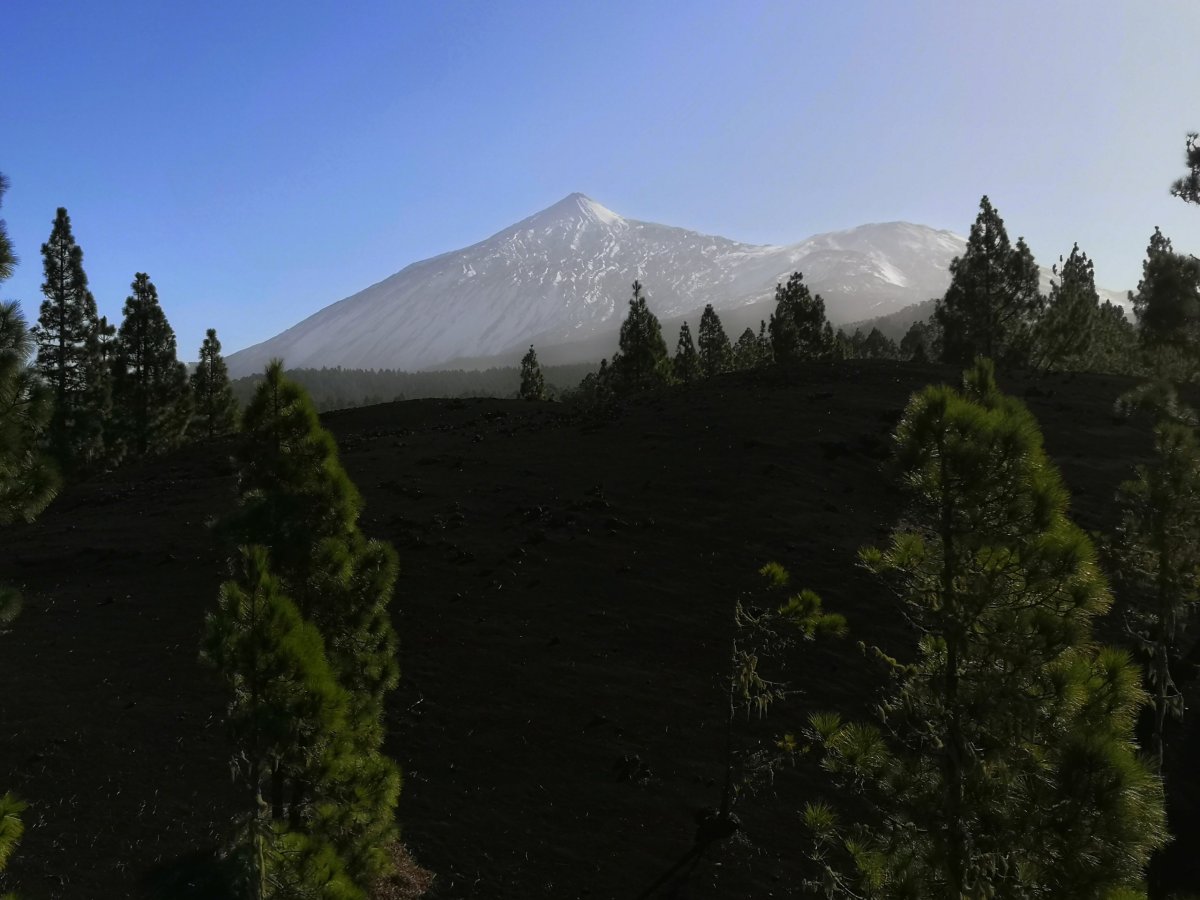 Vykukující Pico del Teie