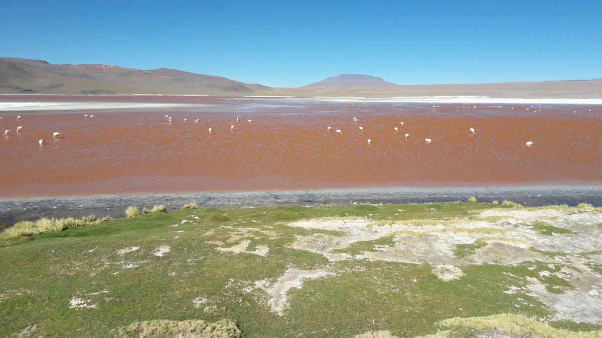 Laguna Colorada.