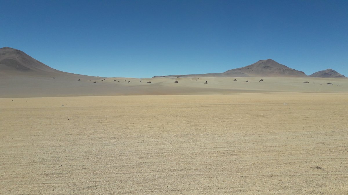 Salvador Dalí desert.