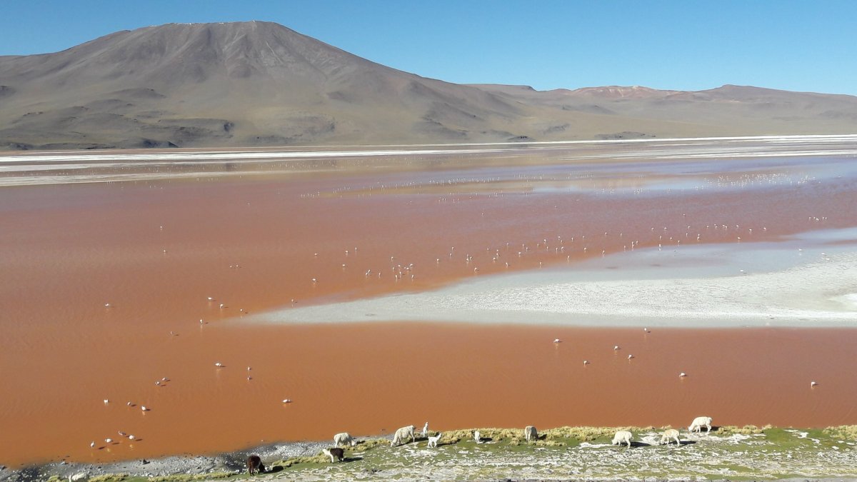 Laguna Colorada.