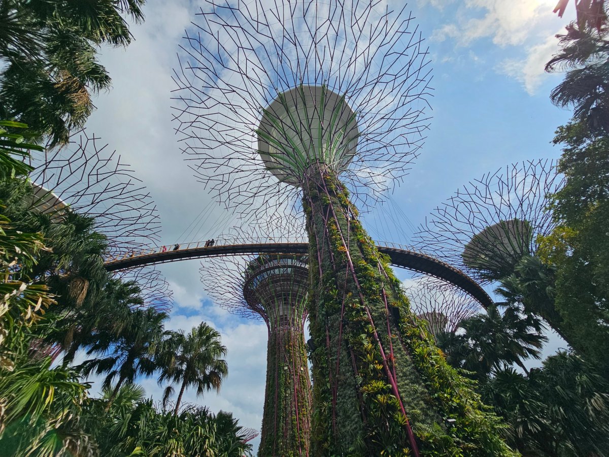 Gardens by the Bay, OCBC Skyway