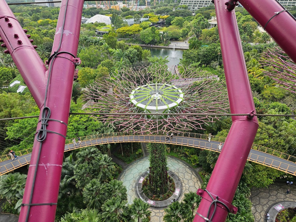 Supertree Observatory