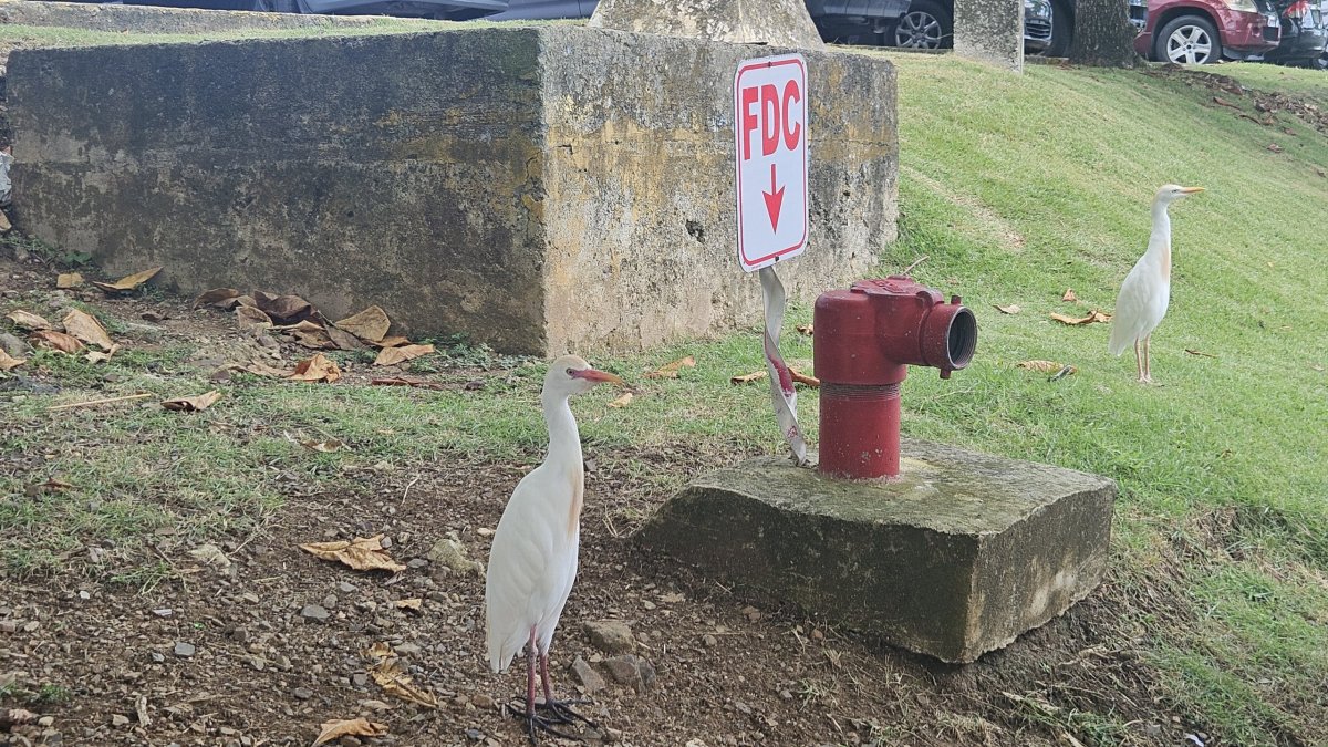 Požární hlídka u bufetu