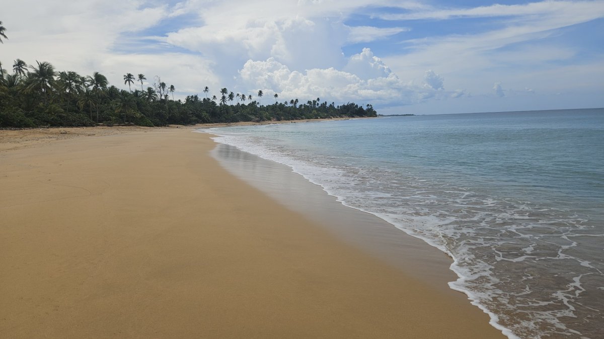 Playa de las Tres Palmitas